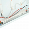 FERON 48911