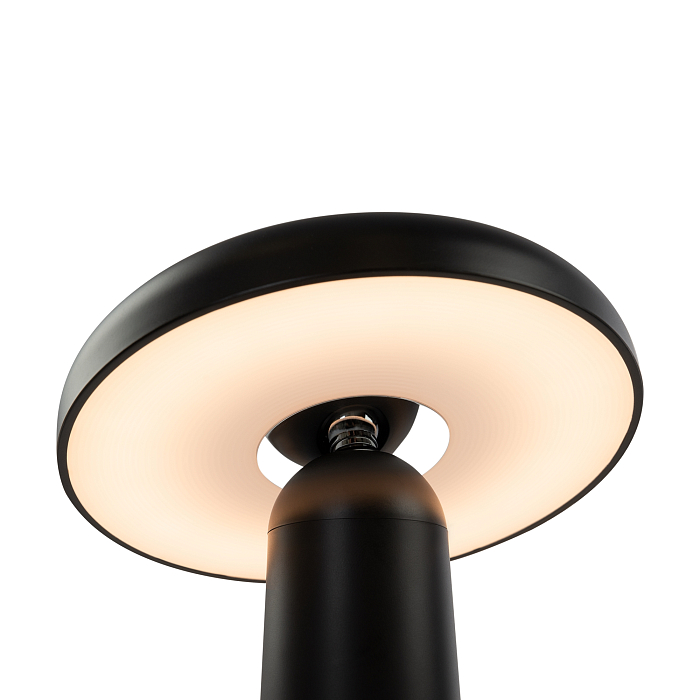 Светильник Freya FR6109TL-L4B
