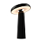 Светильник Freya FR6109TL-L4B