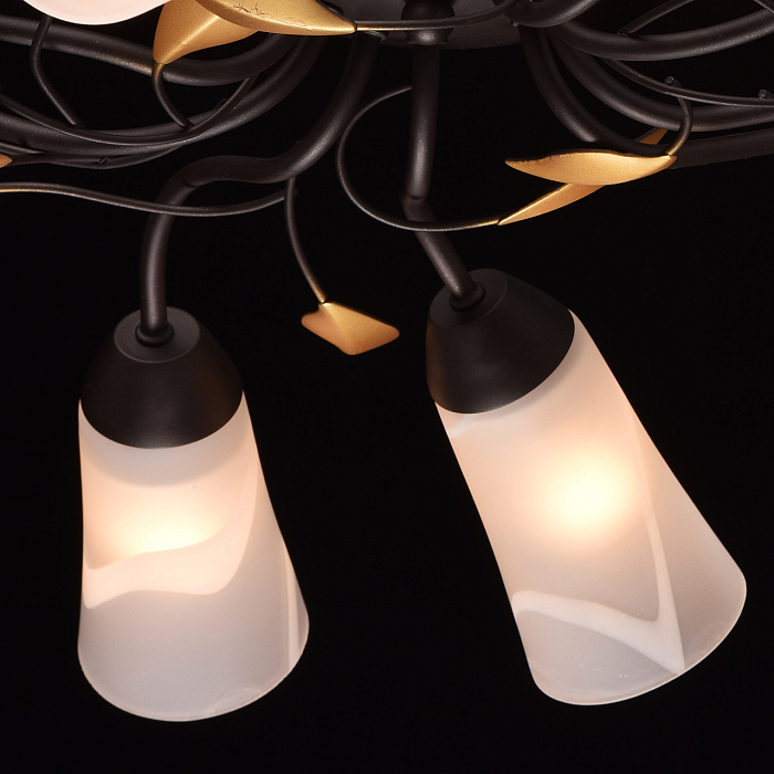 Люстра MW-Light 242015410
