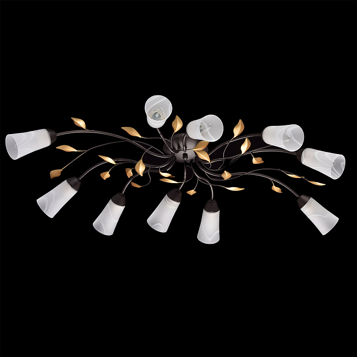 Люстра MW-Light 242015410