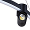 Люстра ARTE LAMP A2186SP-1BK