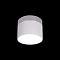 Светильник LOFT IT 10179/7 White